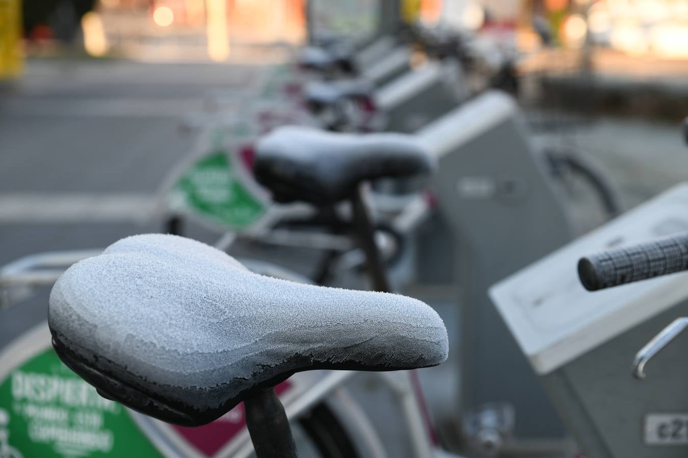 Fotos: Helada en Valladolid