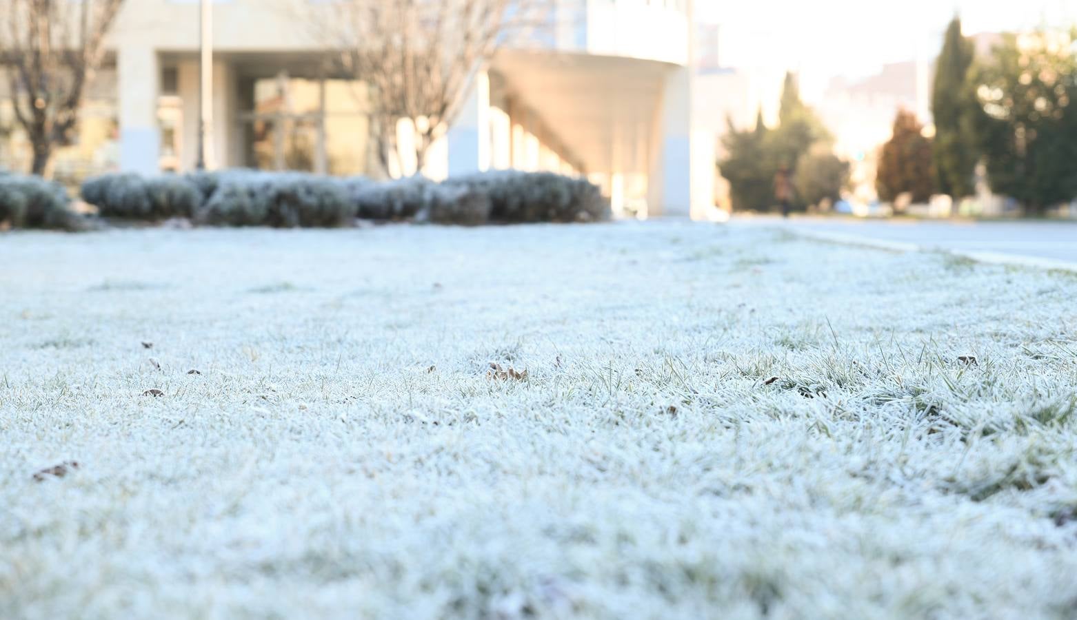 Fotos: Helada en Valladolid