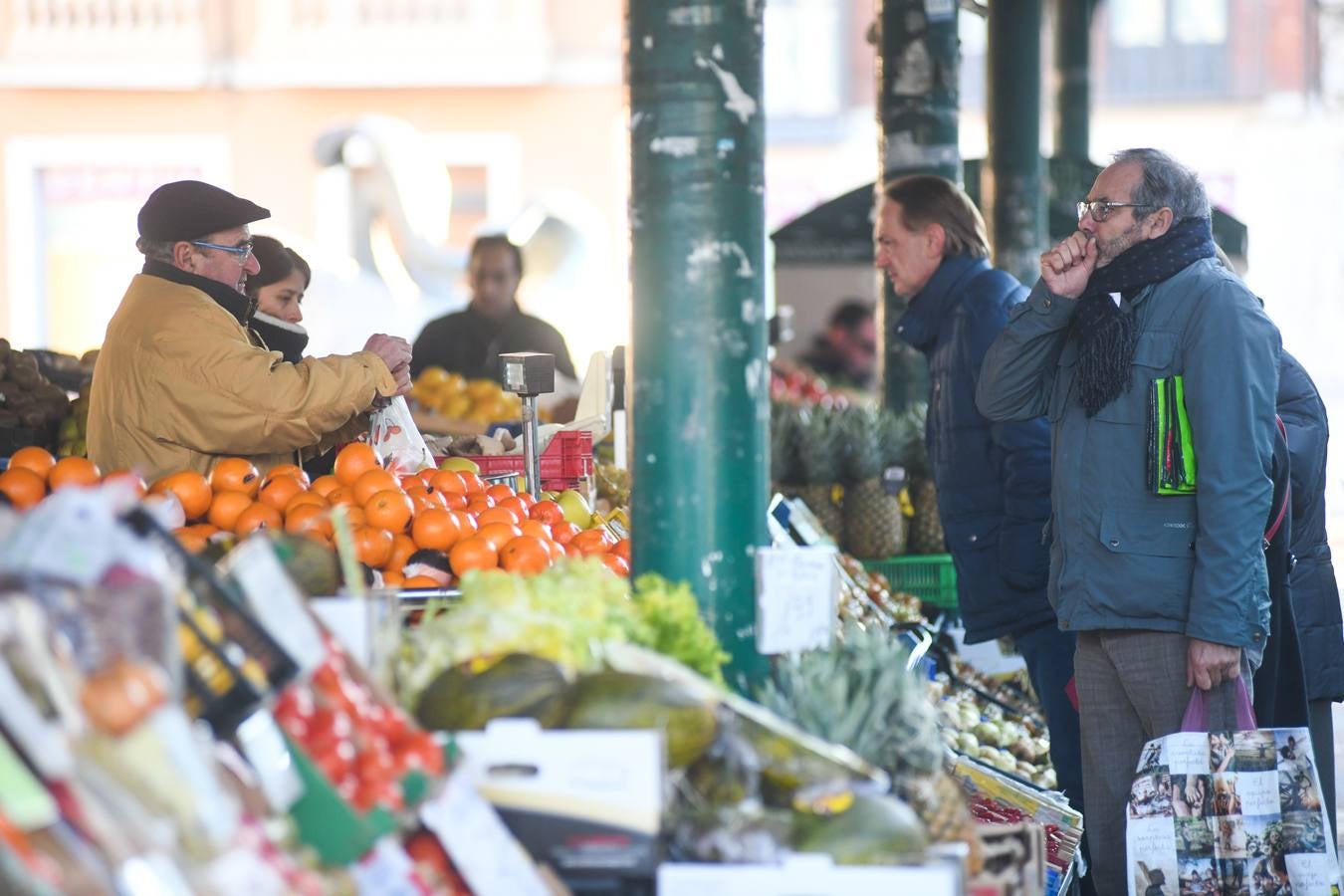 Fotos: Helada en Valladolid