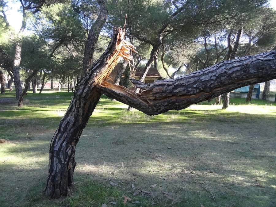 Fotos: Estado actual del Círculo Campestre, en Valladolid