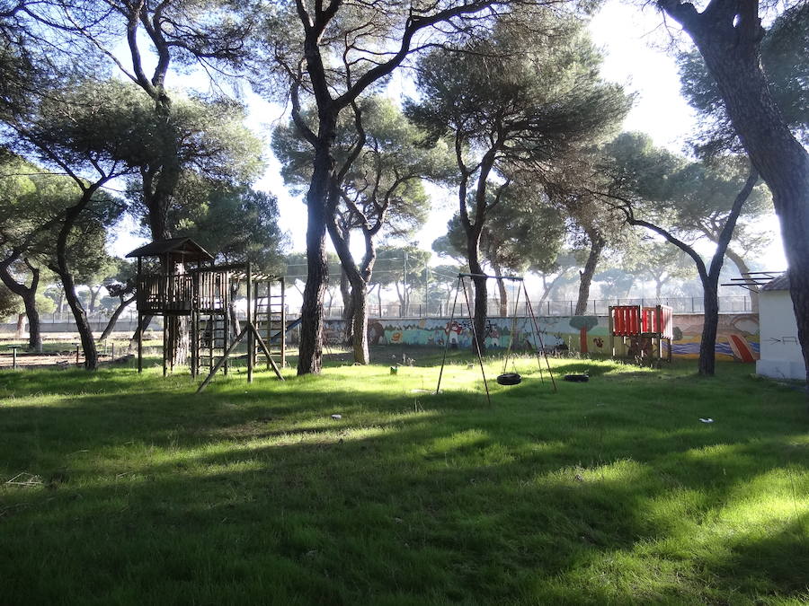 Fotos: Estado actual del Círculo Campestre, en Valladolid