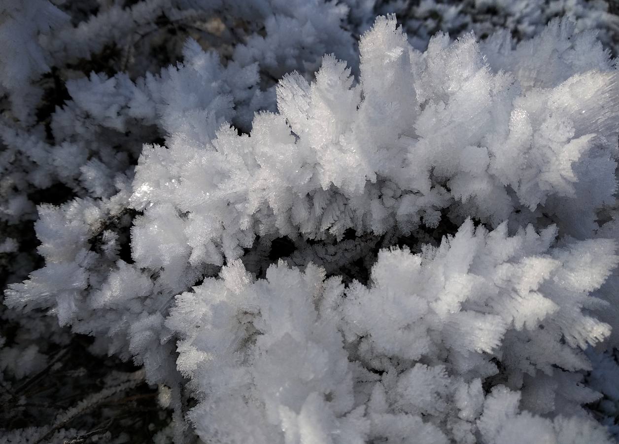 Fotos: Las bellas estampas que dejan las heladas en la región