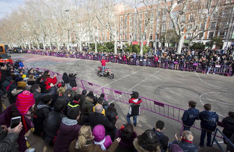 Fotos: Desfile de banderas de Pingüinos 2019