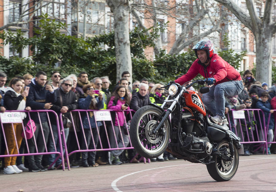 Fotos: Desfile de banderas de Pingüinos 2019