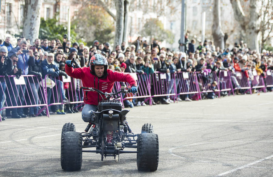 Fotos: Desfile de banderas de Pingüinos 2019