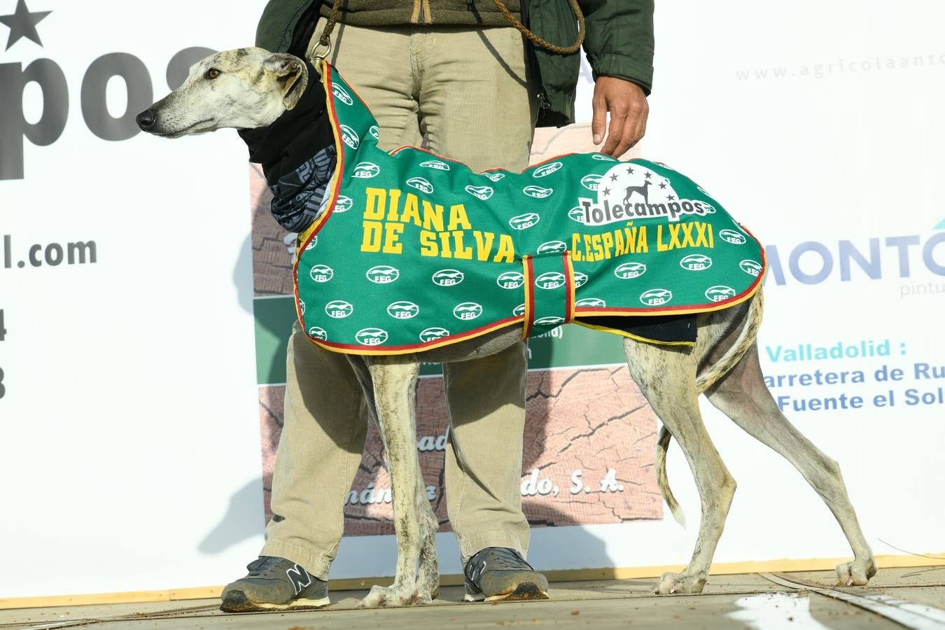 Fotos: Octavos de final del Campeonato Nacional de galgos, en Nava del Rey