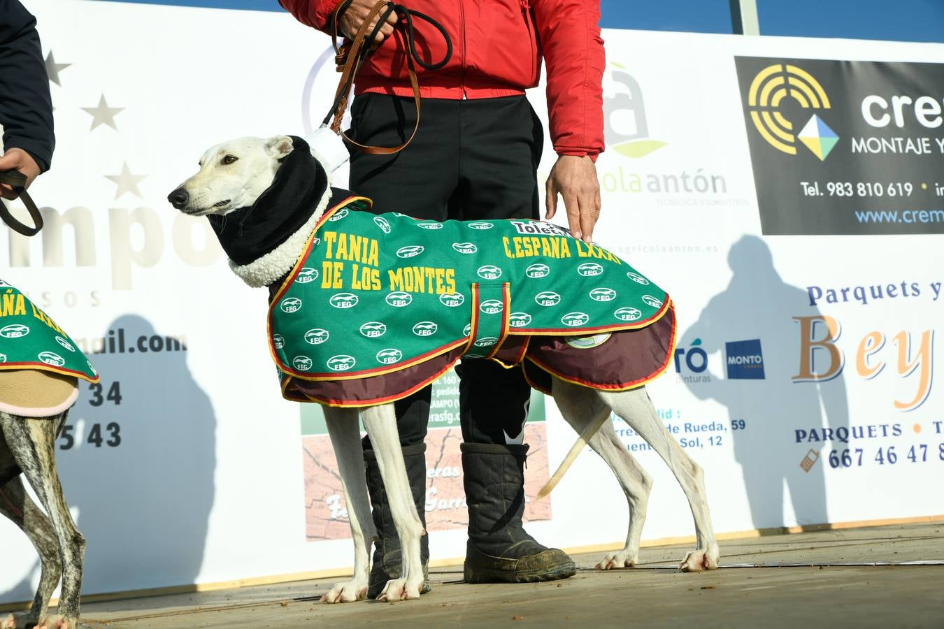 Fotos: Octavos de final del Campeonato Nacional de galgos, en Nava del Rey
