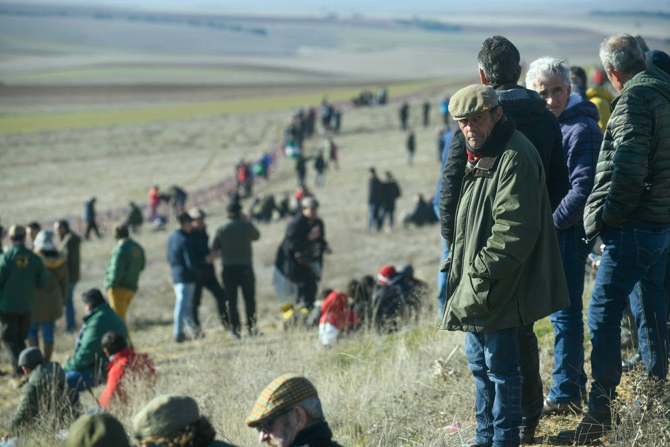 Fotos: Octavos de final del Campeonato Nacional de galgos, en Nava del Rey