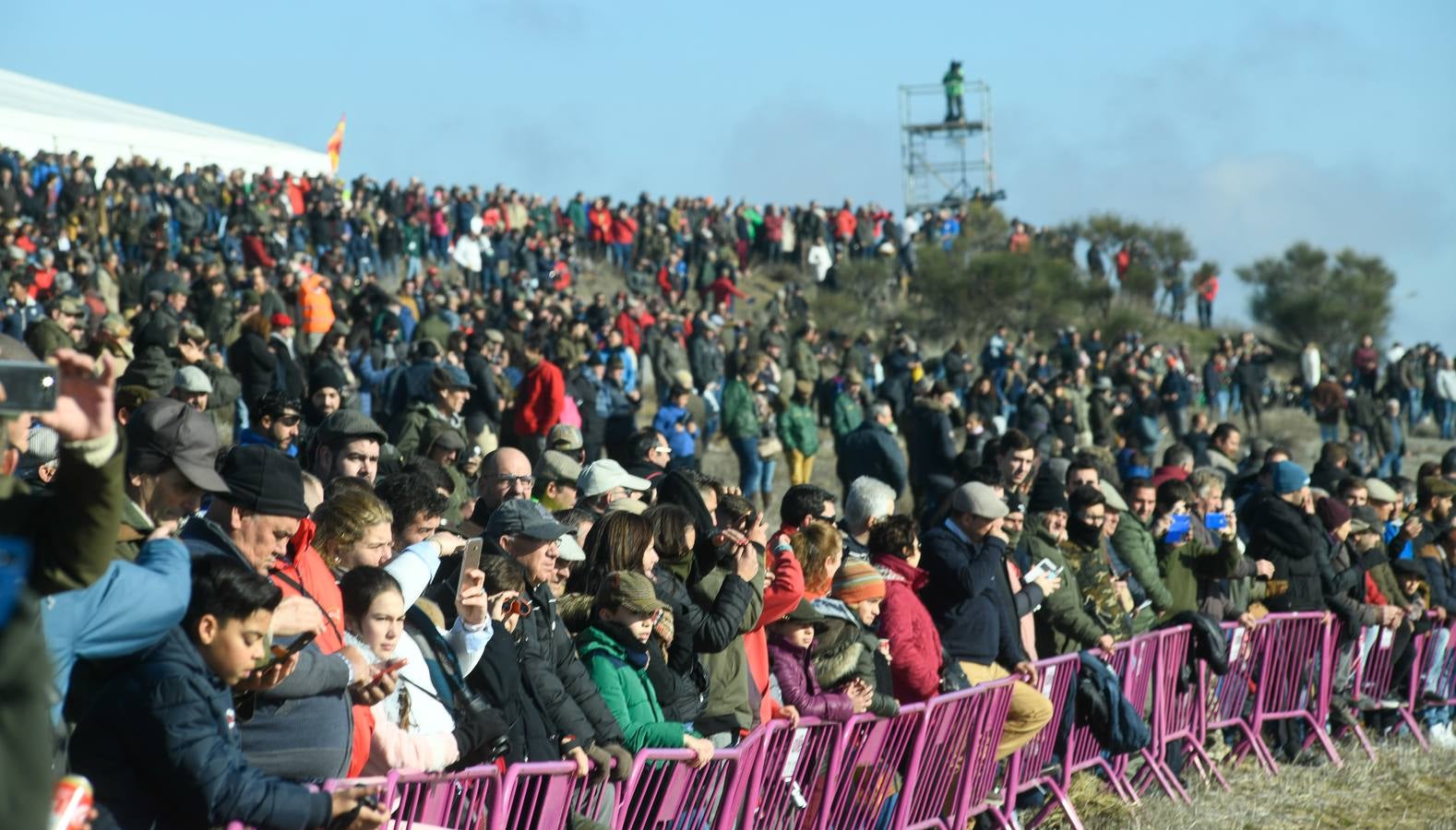 Fotos: Octavos de final del Campeonato Nacional de galgos, en Nava del Rey