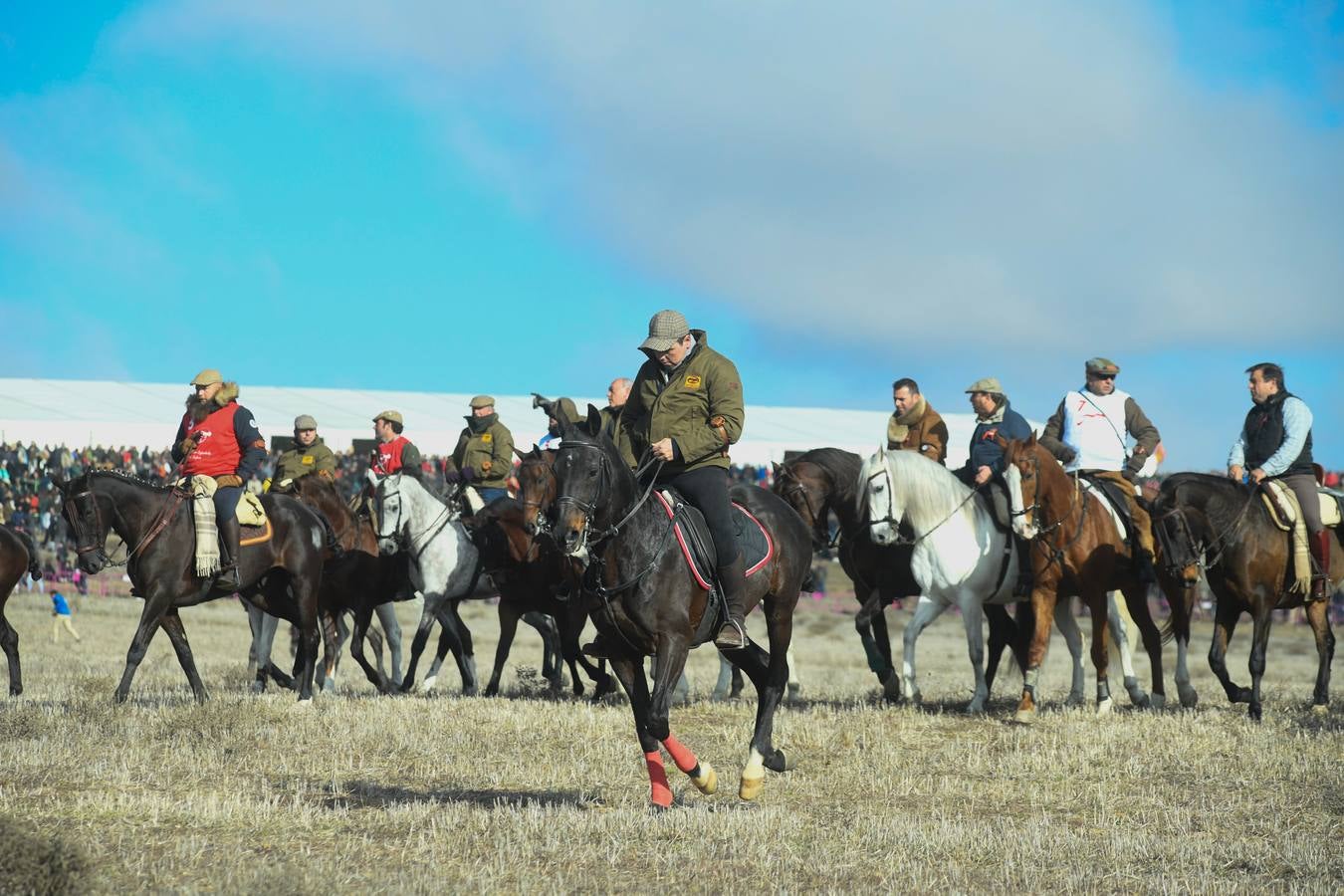 Fotos: Octavos de final del Campeonato Nacional de galgos, en Nava del Rey