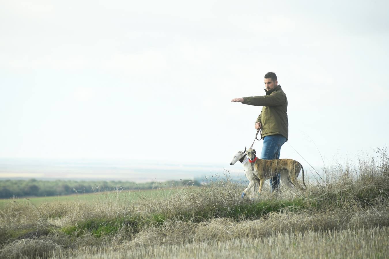 Fotos: Octavos de final del Campeonato Nacional de galgos, en Nava del Rey
