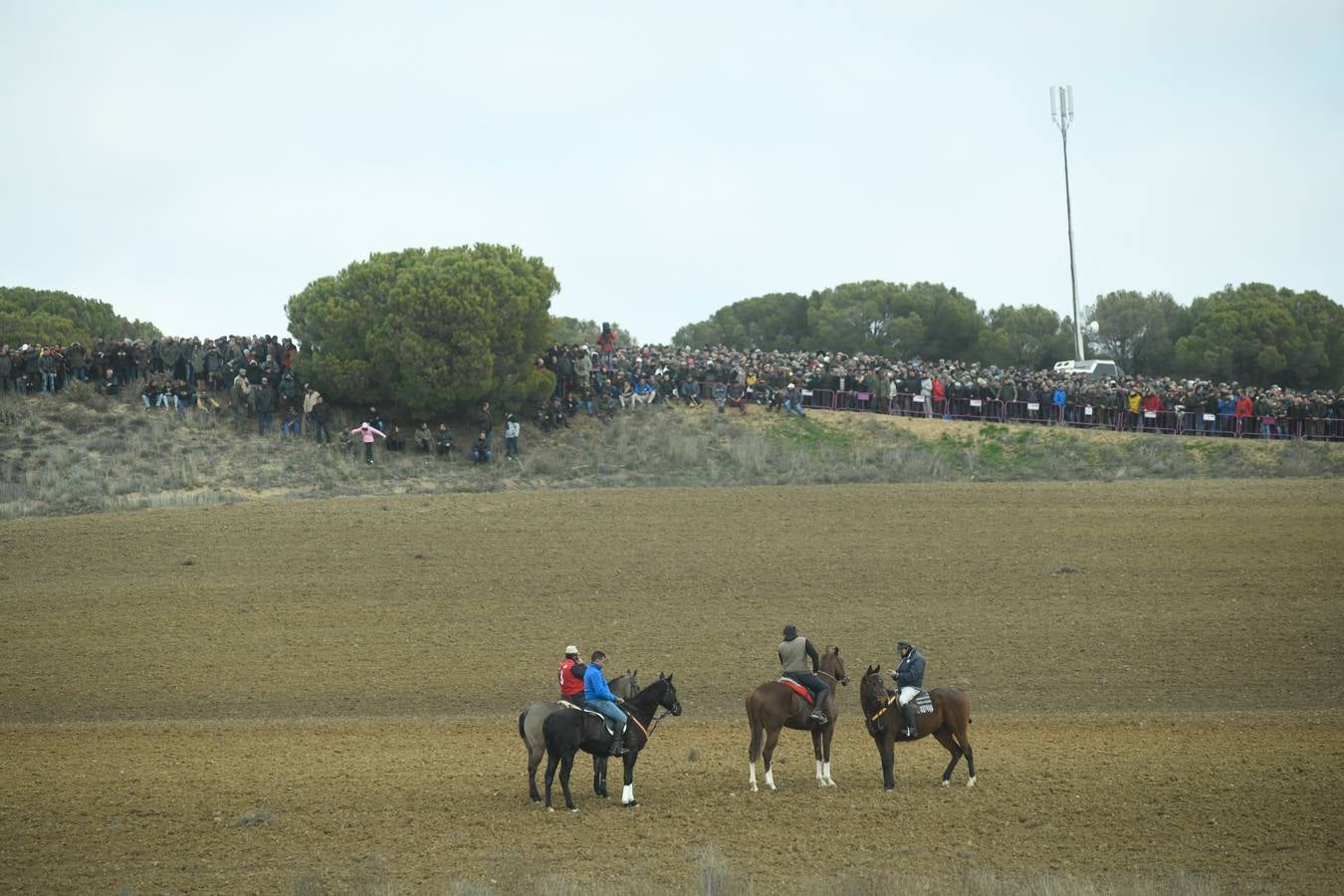Fotos: Octavos de final del Campeonato Nacional de galgos, en Nava del Rey