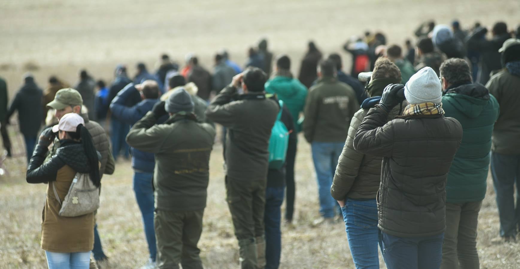 Fotos: Octavos de final del Campeonato Nacional de galgos, en Nava del Rey