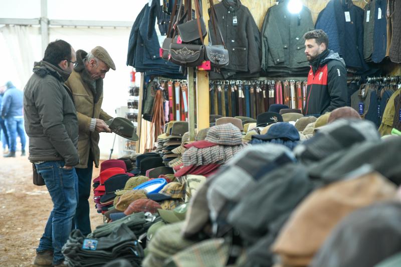 Fotos: Jornada del domingo en el Campeonato Nacional de Galgos de Nava del Rey