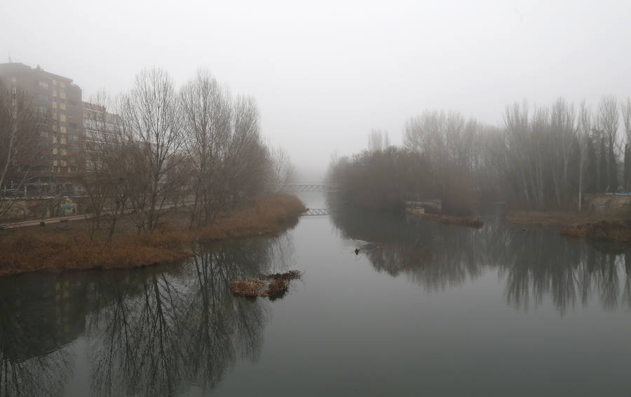 Fotos: Niebla y frío en la capital Palentina