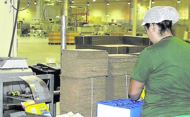 Una mujer trabaja en la cadena de producción de Ontex. 