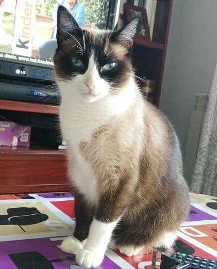 Luni.