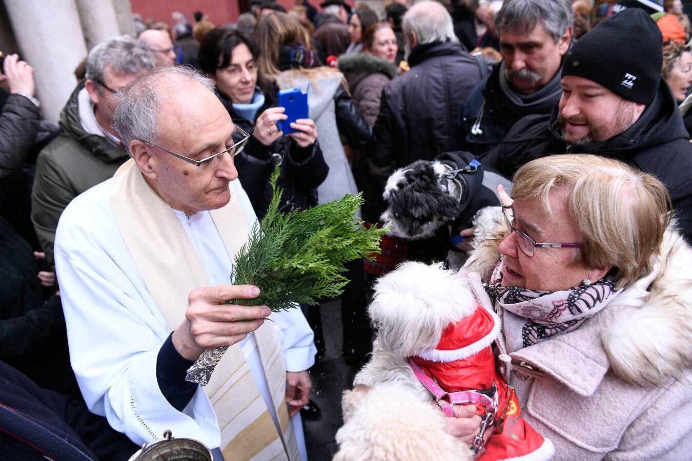 Fotos: Las mascotas reciben la bendición de San Antón en Valladolid