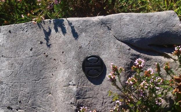 Fósiles de braquiópodos y equinodermos en el valle de Valdediezma.