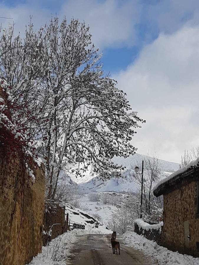 Fotos: La Montaña Palentina recibe la primera nevada de 2019