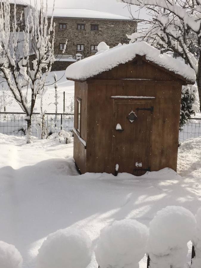 Fotos: La Montaña Palentina recibe la primera nevada de 2019