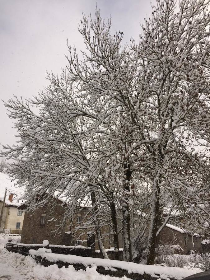Fotos: La Montaña Palentina recibe la primera nevada de 2019