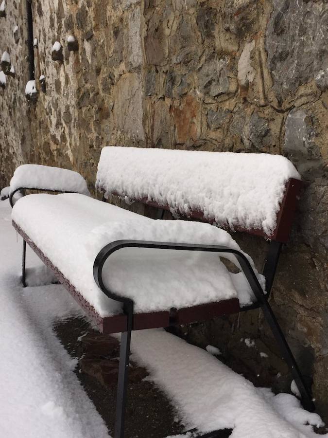 Fotos: La Montaña Palentina recibe la primera nevada de 2019