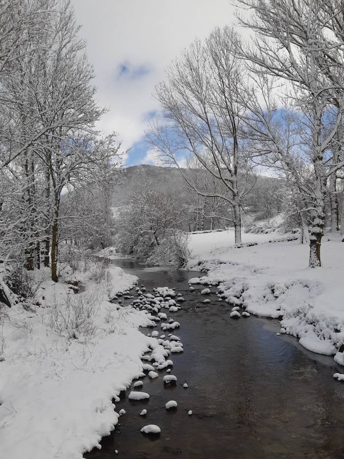 Fotos: La Montaña Palentina recibe la primera nevada de 2019