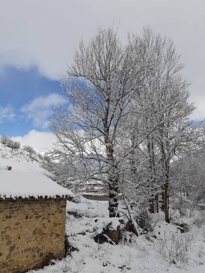 Fotos: La Montaña Palentina recibe la primera nevada de 2019