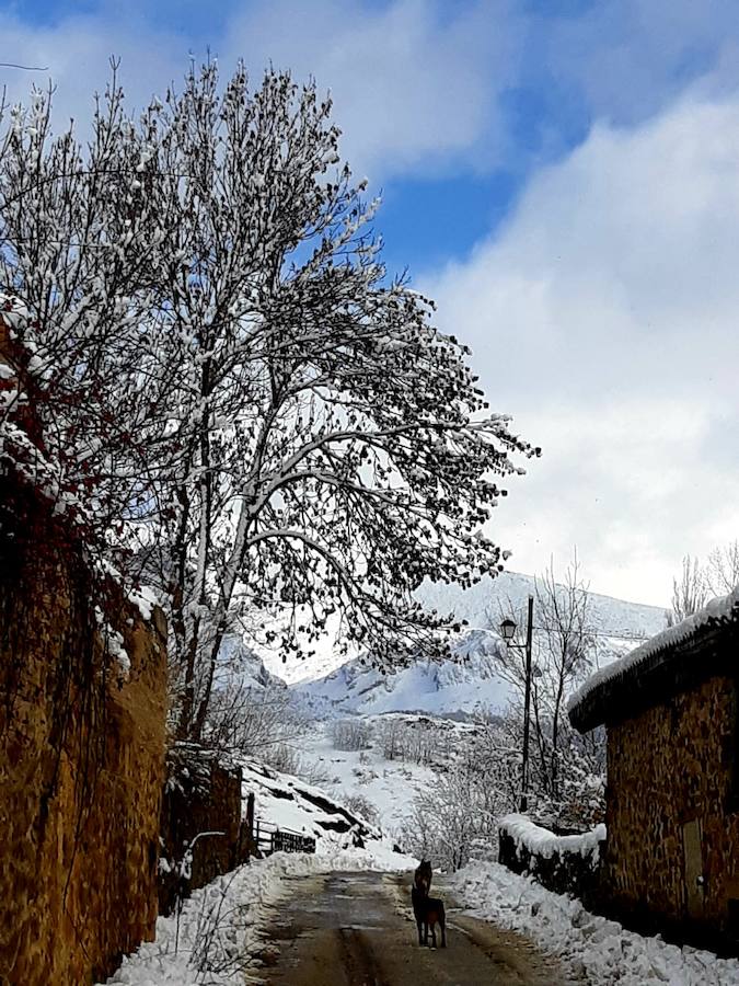 Fotos: La Montaña Palentina recibe la primera nevada de 2019