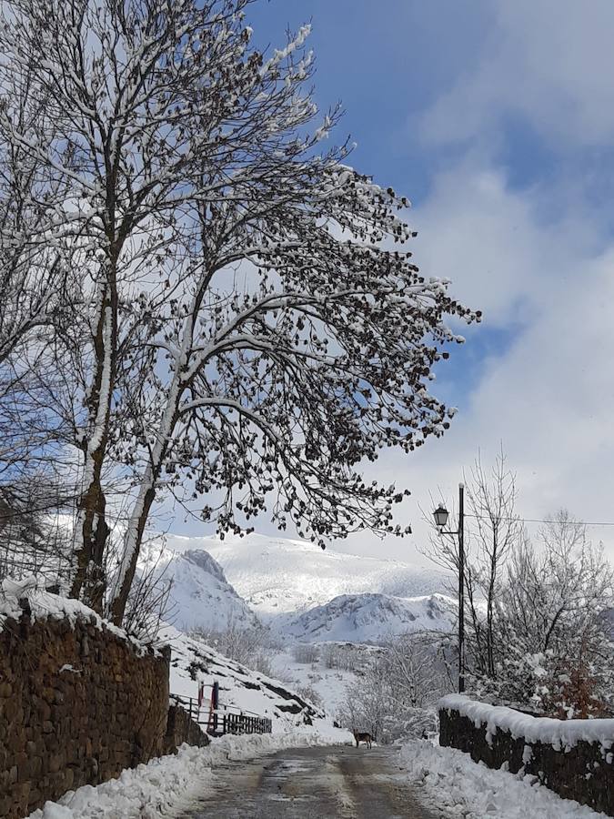 Fotos: La Montaña Palentina recibe la primera nevada de 2019