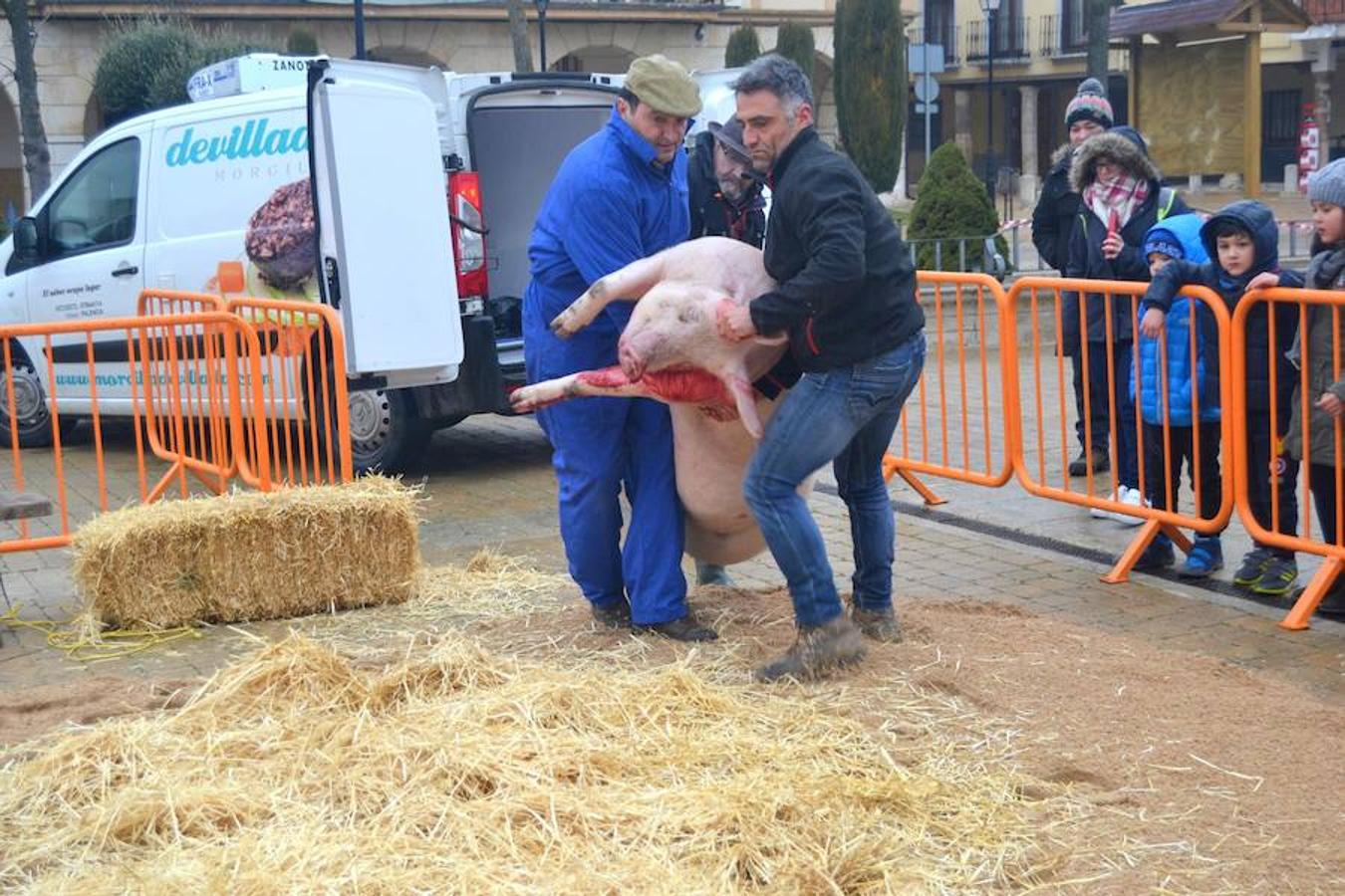 Fotos: Fiesta de la matanza en Dueñas