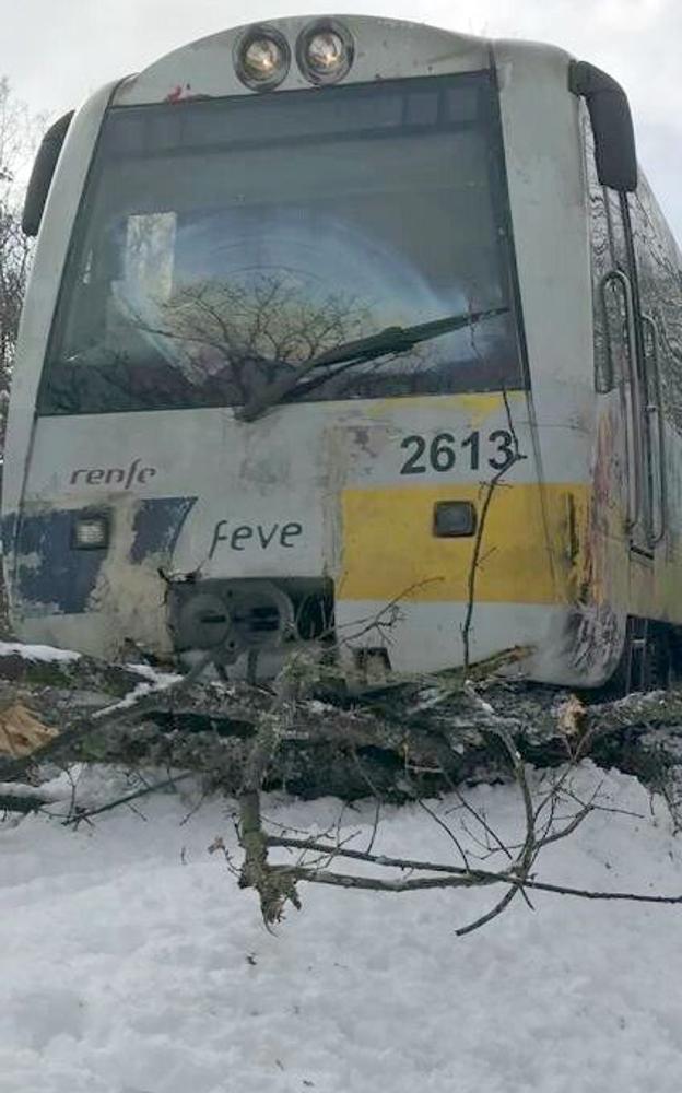 El convoy se detuvo ante la caída de un árbol por la nieve.