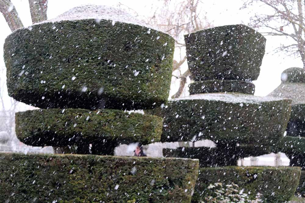 Fotos: Llegan los primeros copos de nieve a Burgos