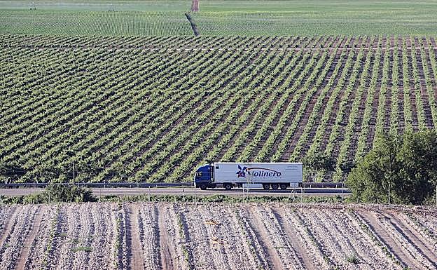 N-122 a su paso por el término municipal de Quintanilla de Onésimo.