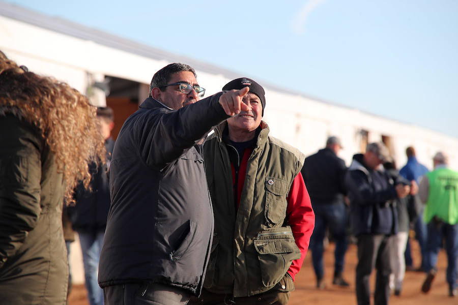 Fotos: Semifinales del Campeonato Nacional de Galgos en Nava