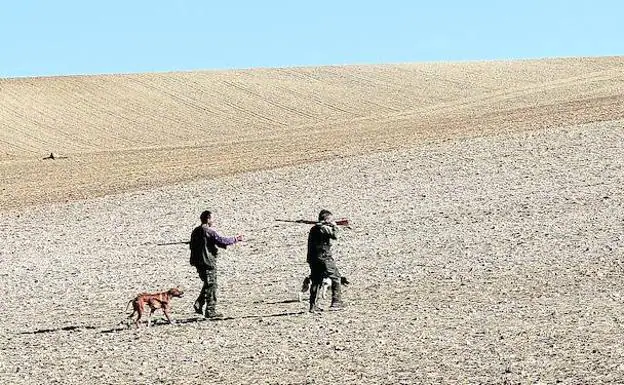 Dos cazadores caminan junto a sus perros por un pedregoso páramo durante una jornada de caza. 