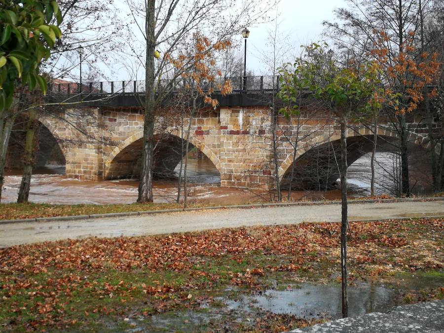 El río Arlanza a su paso por Salas de los Infantes. 