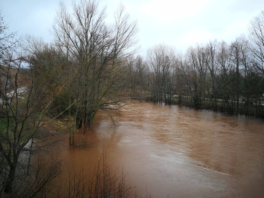 El río Arlanza a su paso por Salas de los Infantes. 