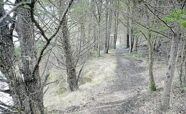 Senda del entorno del pantano entre La Santa Espina y Castromonte. 