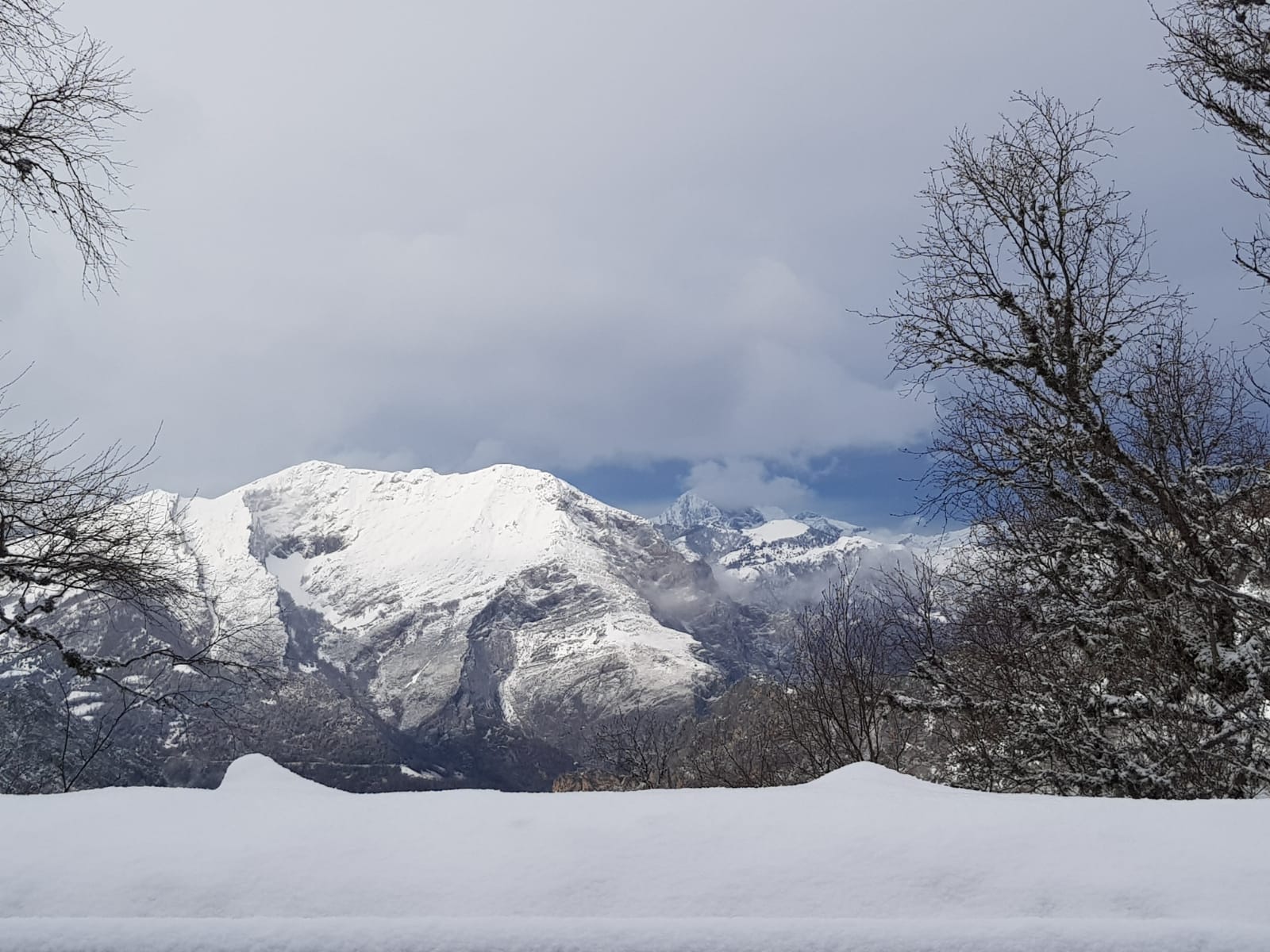 La nieve cierra dos puertos en León y Burgos, embolsa camiones en la A-52, en Sanabria, y obliga a usar cadenas en tres tramos. En las fotos, imágenes de León capital y de la provincia de León