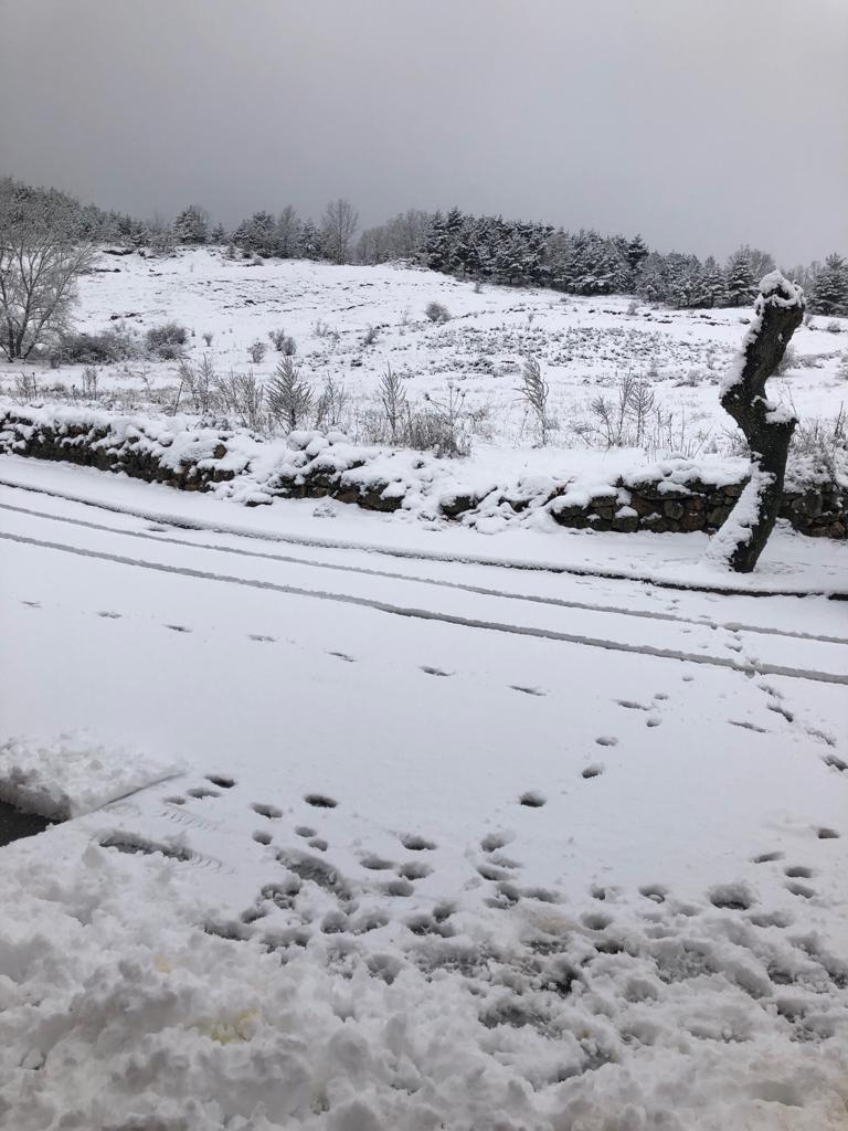 La nieve cierra dos puertos en León y Burgos, embolsa camiones en la A-52, en Sanabria, y obliga a usar cadenas en tres tramos. En las fotos, imágenes de León capital y de la provincia de León