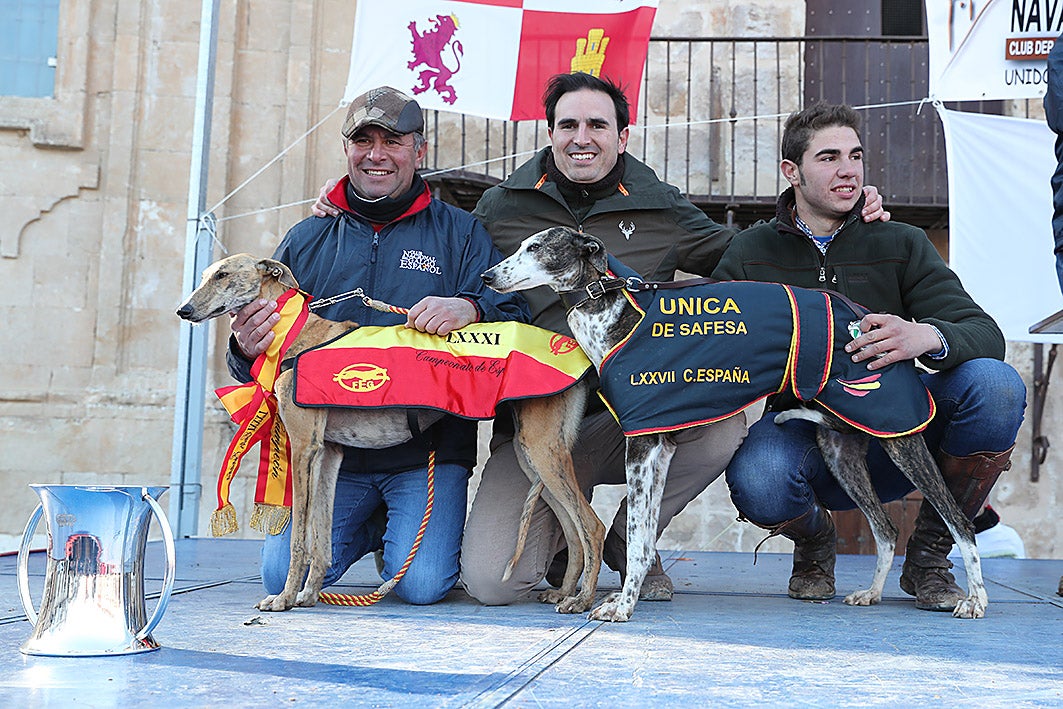 Fotos: La vallisoletana Pelaya de Safesa, campeona de España de Galgos