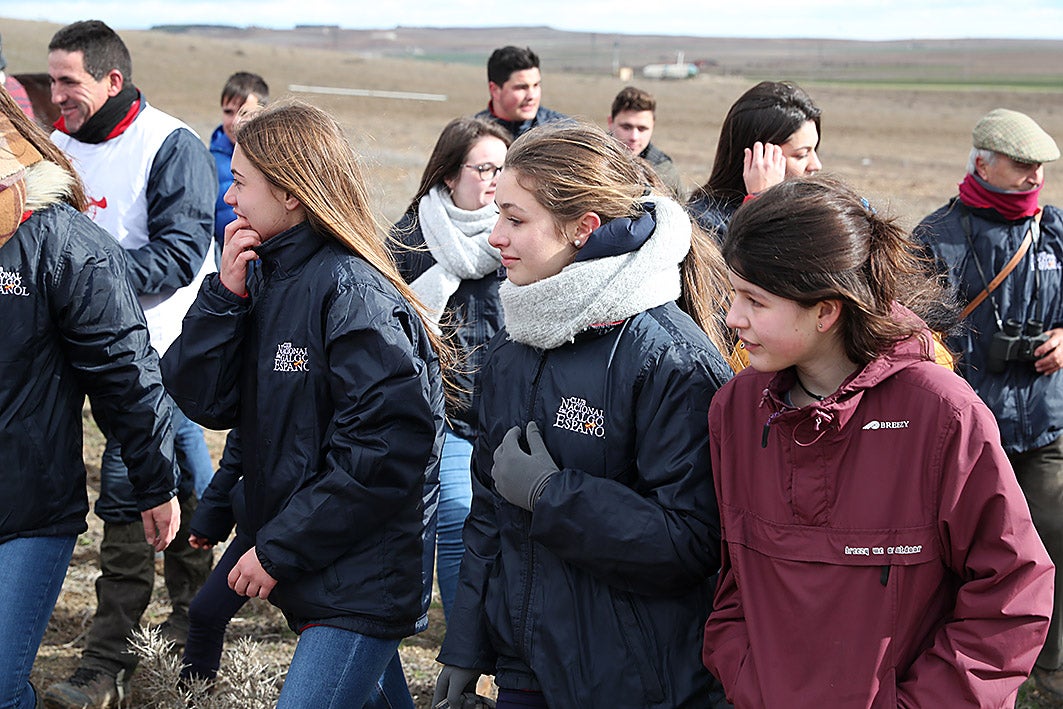 Fotos: La vallisoletana Pelaya de Safesa, campeona de España de Galgos