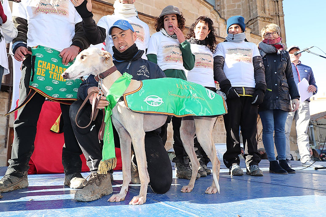 Fotos: La vallisoletana Pelaya de Safesa, campeona de España de Galgos