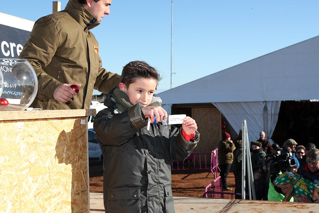 Fotos: La vallisoletana Pelaya de Safesa, campeona de España de Galgos