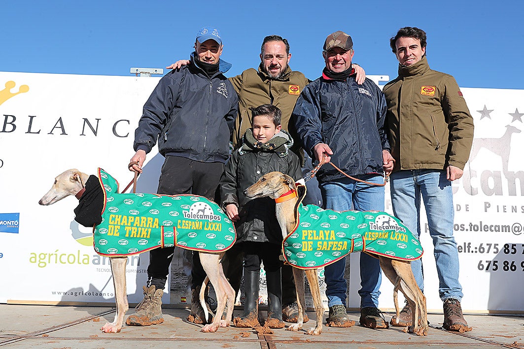 Fotos: La vallisoletana Pelaya de Safesa, campeona de España de Galgos