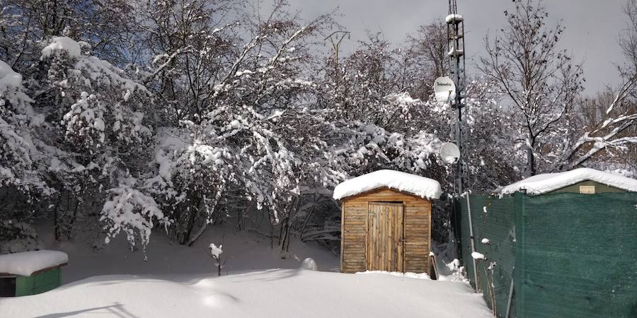 Fotos: Temporal de nieve en Guardo