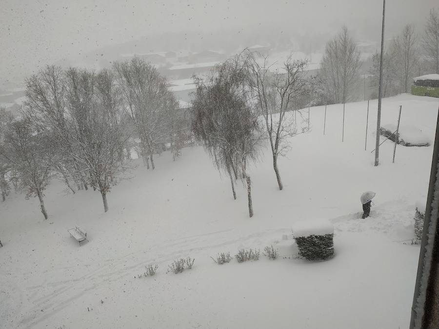 Fotos: Temporal de nieve en Guardo