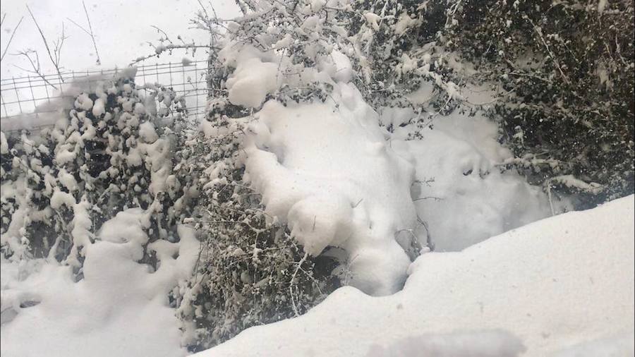 Fotos: Temporal de nieve en Guardo
